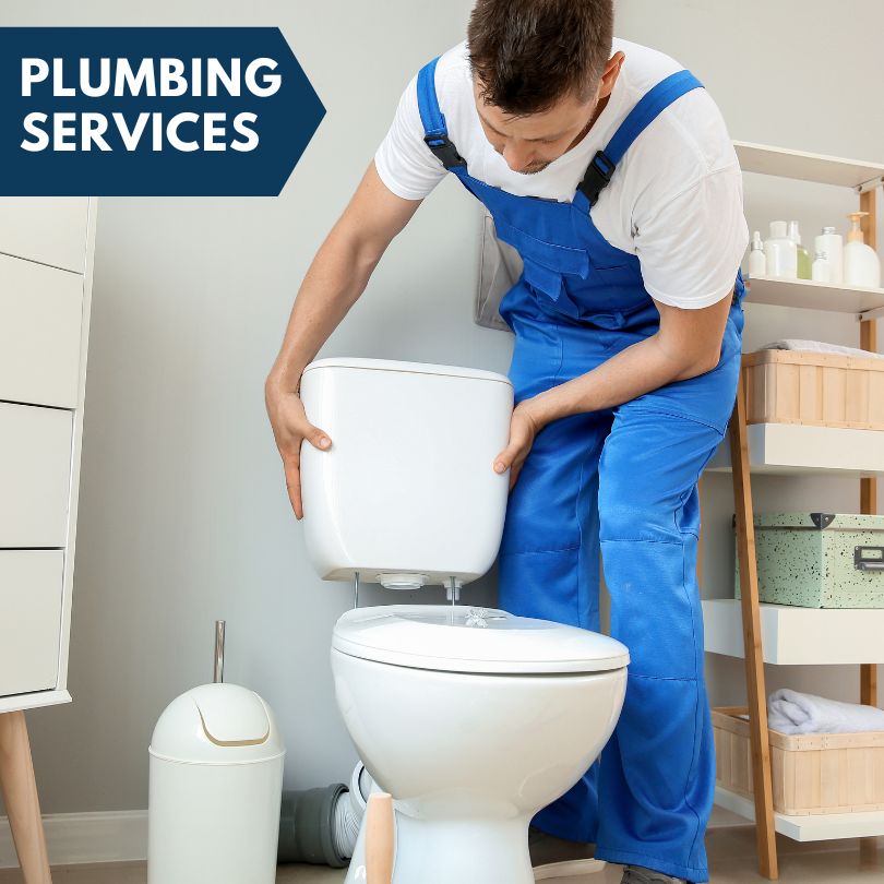 Plumbing Company in Terra Ceia, FL